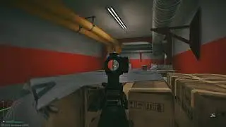 Escape From Tarkov две фулки и люгеры