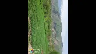 кухистон