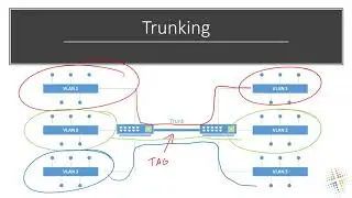 Palo Alto VLAN Trunking and SubInterfaces