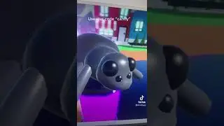 Adopt Me Spider Halloween Pet 2021! Roblox adopt me pet idea 