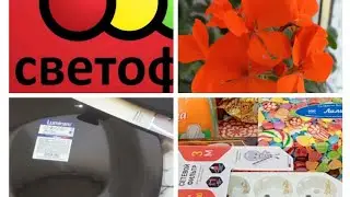 ЗАКУПКА В СВЕТОФОРЕ🚦/ ИНТЕРЕСНЫЕ  И ВЫГОДНЫЕ ПОКУПКИ ДЛЯ ДОМА/ МАГНИТ КОСМЕТИК/ КОМНАТНЫЕ ЦВЕТЫ 🌺🌿☘️