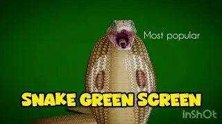 Green Screen Snake Attack|