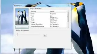 Image Processing in VB net