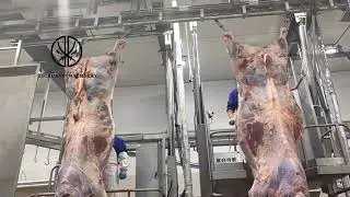 Apron Cleaning Machine Stainless Steel Halal Cattle Slaughter House Equipment For Cow+8618652967546