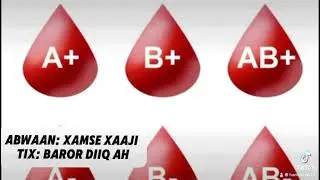 abwaan xamse xaaji tix baroor diiq ah