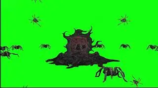 Spiders Green Screen
