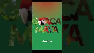 Maneras de usar la Máscara de Recorte en Illustrator. Como utilizar la máscara de recorte en AI