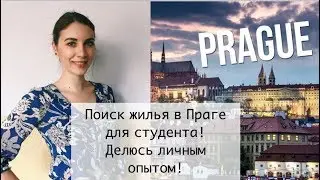Поиск жилья в Праге для студента.