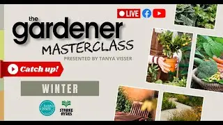 Winter Masterclass | LIVE with Tanya Visser