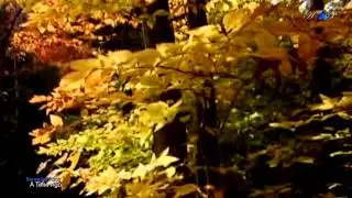 BERNWARD KOCH - A Time Ago