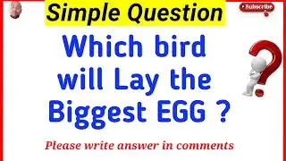 Top Intresting gk || quiz questions || gk