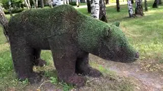 Мой видеоролик 7