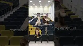 #нашараша