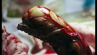 Alien (1979) - Iconic Chestburster Scene | Sci-Fi Horror Classic