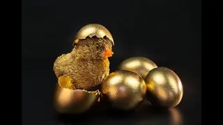 YANINIZDA 5 KG. ALTIN GETİRMEK SERBEST