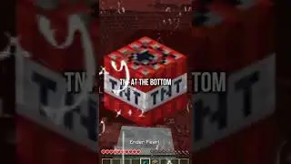 Smartest Minecraft Player (6969+ iq)