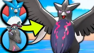 We Randomized Pokemon Starters And Fused Them Together, Then We Battle!