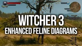 Witcher 3 - ALL Enhanced Feline Diagram Locations (Upgrade Armour and Weapons)