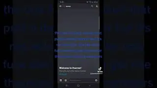 different types of discord owners