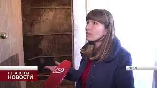 В Орле жильцы общежития на Силикатной просят о помощи