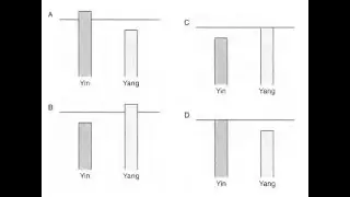 Regional Diagnosis and Treatment Acupuncture