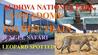 Dudhwa National Park Vistadome Tourist Train Jungle Safari | Sighting Of Leopard, Elephants, Deer