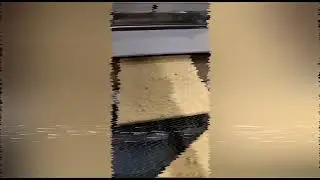 Линия производства бисквитного пласта