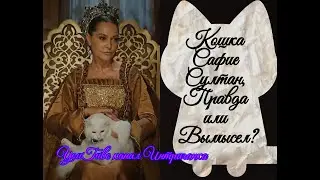 Кошка Сафие Султан. Правда или Вымысел?  Империя Кесем(Интриганка)