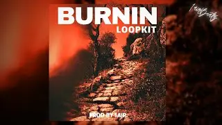[FREE] Future Loop Kit 2024 - 
