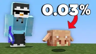 Can I Collect Every RARE item in Minecraft?