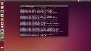 Chromium won't open in Ubuntu after installation. How to fix