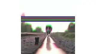 Кот на прогулке