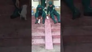 ÇOCUK HER ZAMAN ÇOCUK...