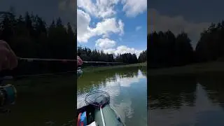 Боль каждого рыбака 