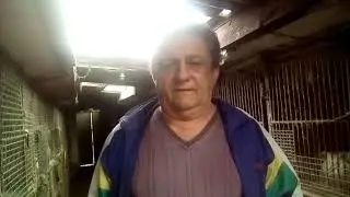 Как и чем кормить