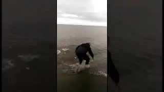 Удивительная рыбалка 2