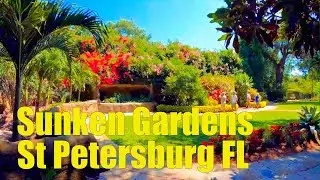Tour of Sunken Gardens, St Petersburg FL
