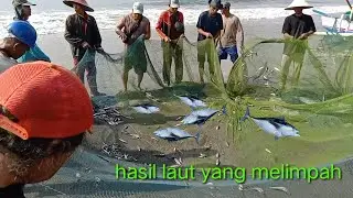 Ngujur Ikan 🐟 🐟 Hasil Tangkapan Nelayan