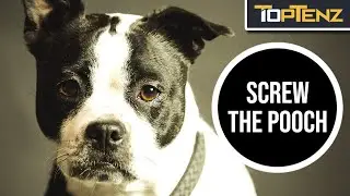 10 More Curious Origins of Popular Idioms