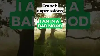 I AM IN A BAD MOOD in French #shorts