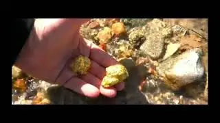gold in the river plus gem