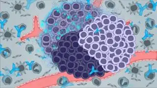 Multiple antibody treatment - Medical Animation by Watermark