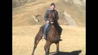гагатли лошади
