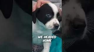 He Was Afraid of People 😭