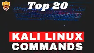 Top 20 Kali Linux Commands You Need to Know [2023]