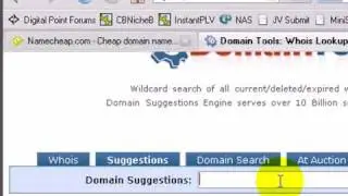 Profits.CC Expert Blogging Tutorial: Find a Catchy Domain (Resell Rights)