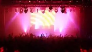 The White Panda | New York City Recap (SOLD OUT)