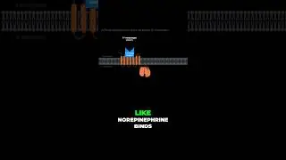 QISS and G Protein Coupled Receptors #shorts  #anatomy #science