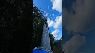 Полностью гнилое дерево, могло упасть в любой момент