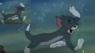 Tom and jerry